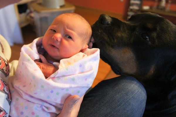 pups and babies 10