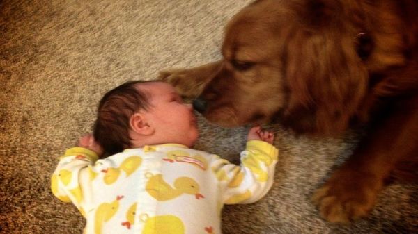 pups and babies 17