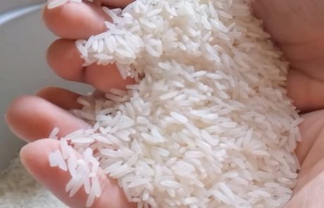 היזהרו, סין מייצרת אורז עשוי מפלסטיק – כך תוכלו לזהות