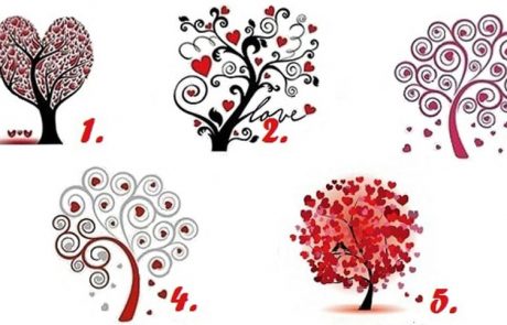 בחרו עץ אהבה אחד וגלו מהן התכונות הדרושות כדי לבנות מערכת יחסים יציבה, ואיזה פרטנר מתאים לכם