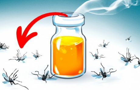 11 ניחוחות שהורגים יתושים במקום